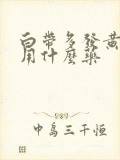 白带多发黄腥臭用什么药