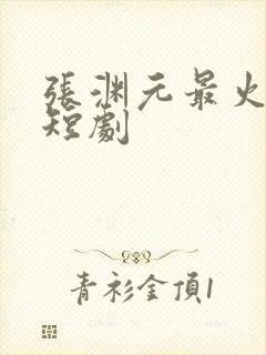 张渊元最火十部短剧