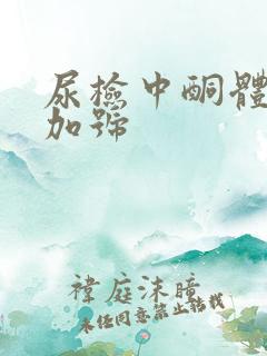 尿检中酮体1个加号