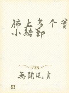 肺上多个实性微小结节