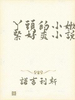 丫头的小嫩嫩好紧好爽小说