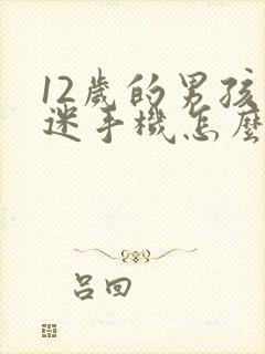 12岁的男孩沉迷手机怎么办