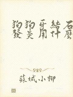 狗狗牙结石牙龈发炎用什么药