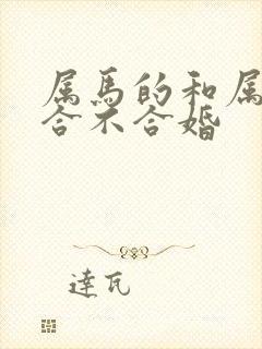 属马的和属龙的合不合婚