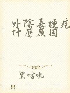 外阴长硬疙瘩是什么原因