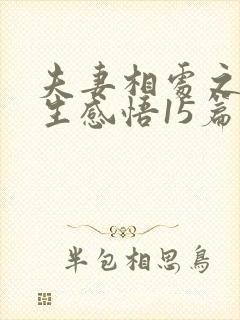 夫妻相处之道人生感悟15篇