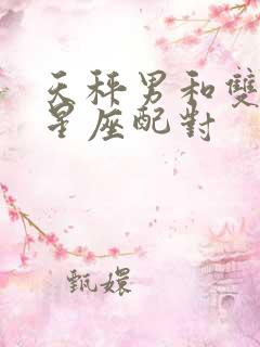 天秤男和双子女星座配对