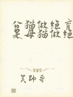 公猫做绝育好还是母猫做绝育好?