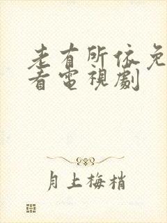 老有所依免费观看电视剧