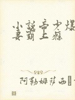 小说帝少爆宠娇妻霸上瘾