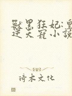 兽黑狂妃:皇叔逆天宠小说