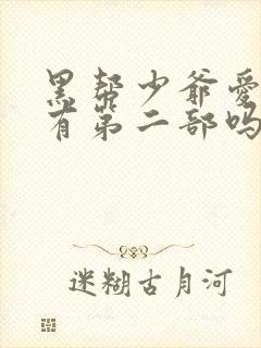 黑帮少爷爱上我有第二部吗?