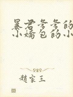 暴君爹爹的团宠小娇包的小说