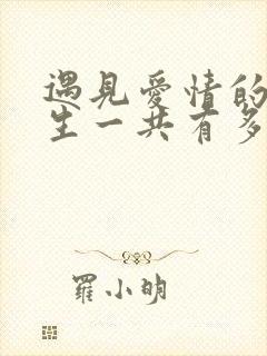 遇见爱情的利先生一共有多少集