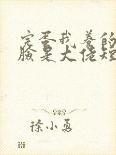 完蛋我养的小白脸是大佬短剧播放