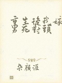 重生后我嫁给渣男死对头