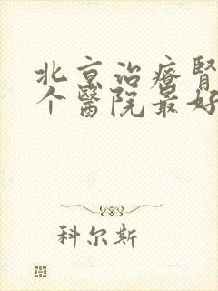 北京治疗肾病哪个医院最好