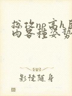 总攻np高h巨肉各种姿势调教