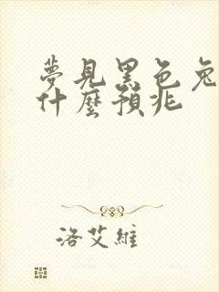 梦见黑色兔子是什么预兆