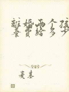 离婚两个孩子抚养费给多少钱一个月