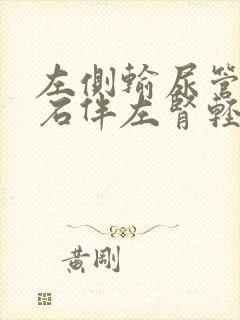 左侧输尿管有结石伴左肾轻度积水