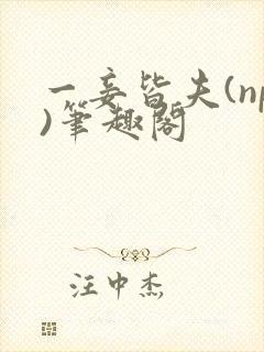 一妾皆夫(np)笔趣阁