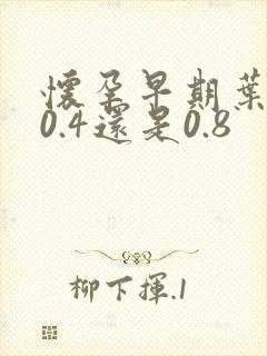 怀孕早期叶酸吃0.4还是0.8