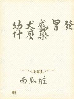 幼犬感冒发烧吃什么药