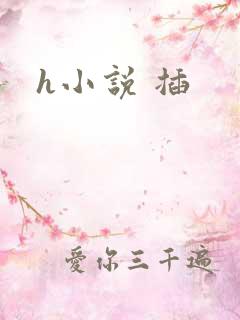 h小说 插