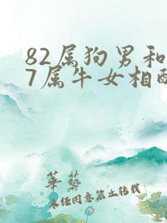 82属狗男和97属牛女相配吗