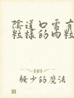 阴道口处有小颗粒样的肉粒