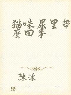 猫咪尿里带血怎么回事