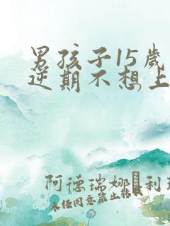 男孩子15岁叛逆期不想上学怎么办