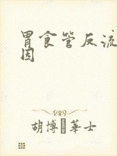 胃食管反流症病因