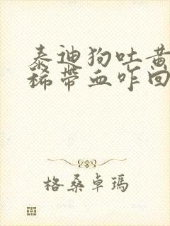 泰迪狗吐黄水拉稀带血咋回事