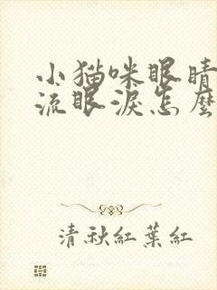 小猫咪眼睛一直流眼泪怎么回事