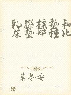 乳胶棕垫和椰棕床垫哪种比较好