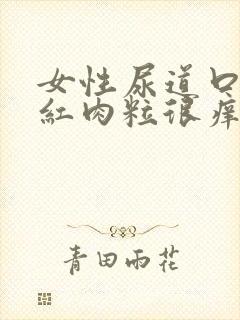 女性尿道口起小红肉粒很痒