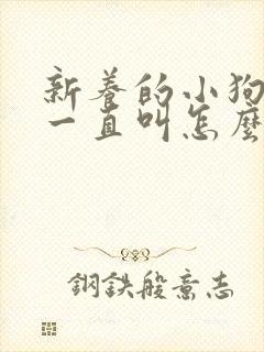 新养的小狗晚上一直叫怎么办