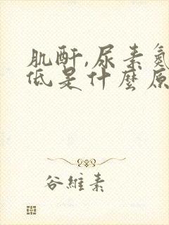 肌酐,尿素氮偏低是什么原因