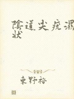 阴道尖疣湿锐症状