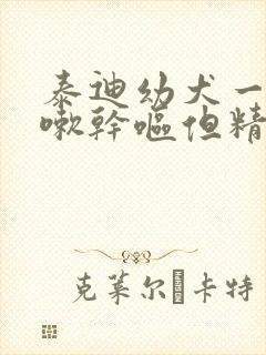 泰迪幼犬一直咳嗽干呕但精神很好是怎么办