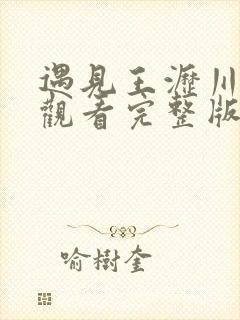 遇见王沥川免费观看完整版