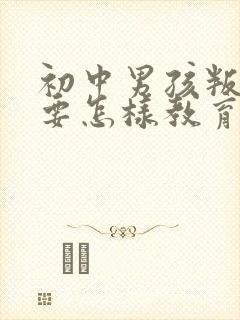 初中男孩叛逆期要怎样教育或开导呢