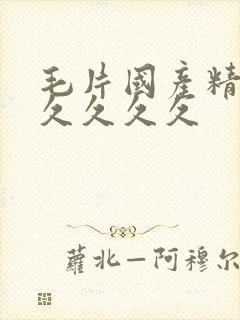 毛片国产精品久久久久久