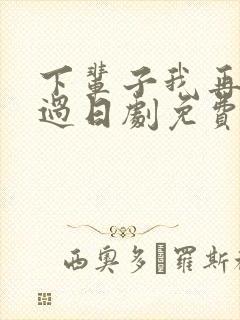 下辈子我再好好过日剧免费观看