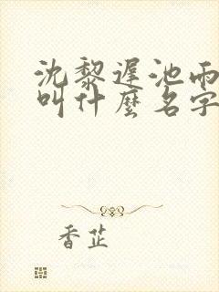 沈黎迟池雨小说叫什么名字