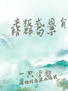 老板感恩员工的精辟句子