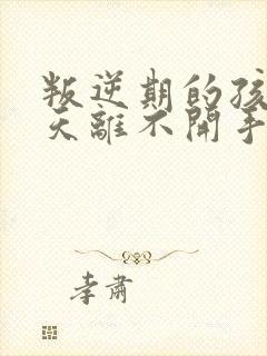 叛逆期的孩子天天离不开手机怎么办