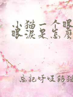 小猫一个眼睛流眼泪是怎么回事